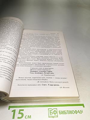 Русский язык. Углубленный уровень. 10-11 классы