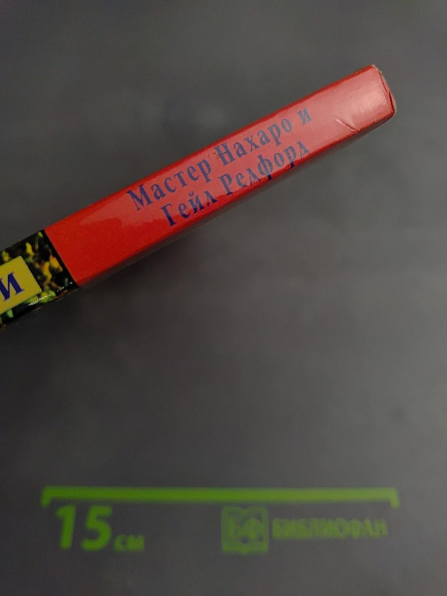 Полный курс Рейки