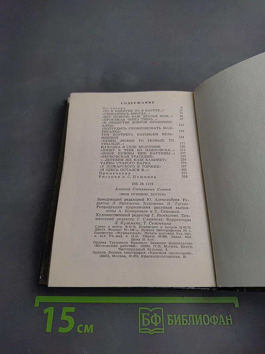 Мои осенние досуги