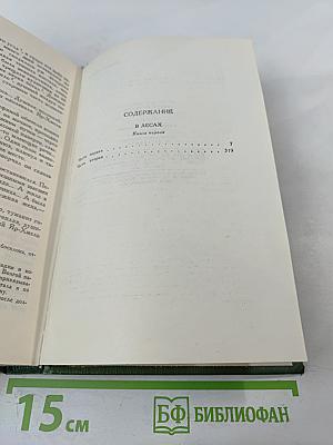 В лесах. Собрание сочинений в шести томах. Том 2