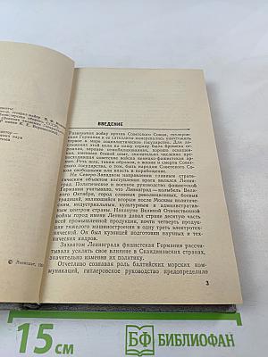 Лужский рубеж. Год 1941-й