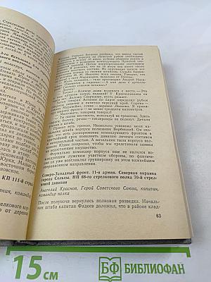 Лужский рубеж. Год 1941-й