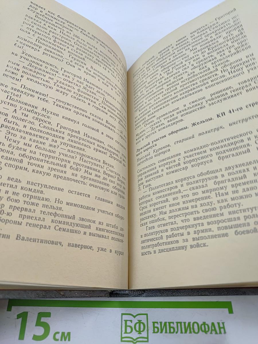 Лужский рубеж. Год 1941-й