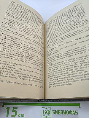 Лужский рубеж. Год 1941-й