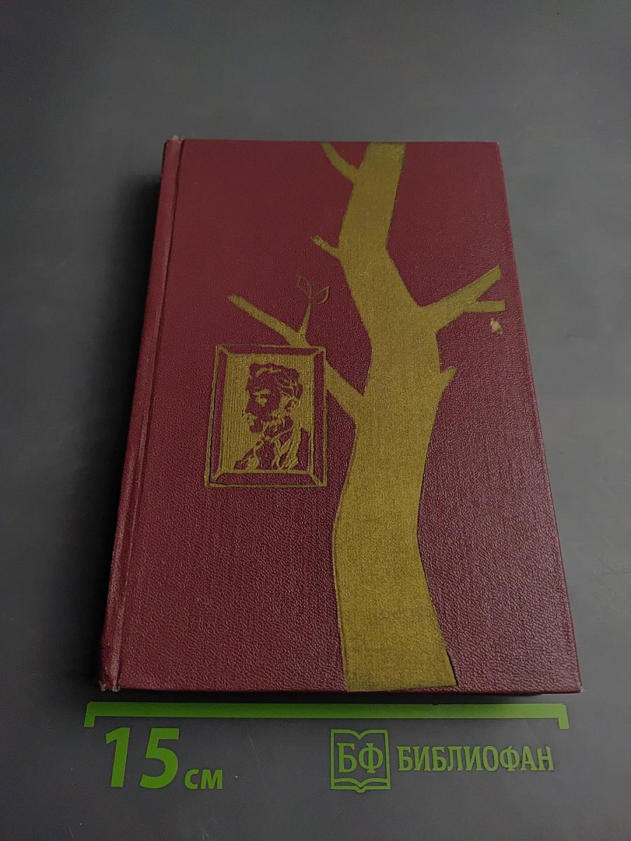 Дон Касмурро