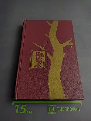 Дон Касмурро