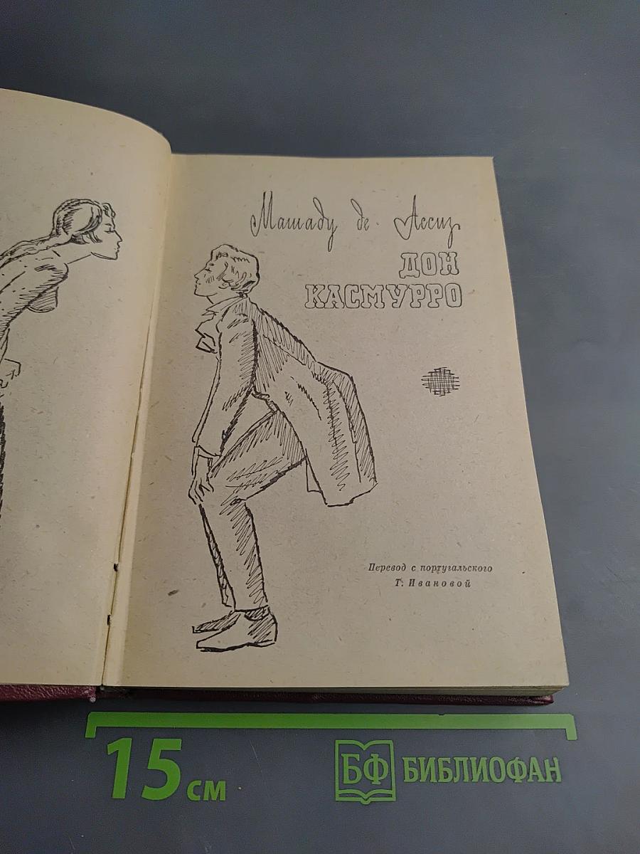 Дон Касмурро