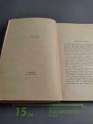 Дон Касмурро