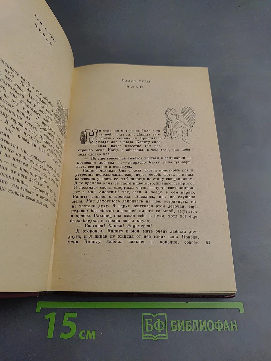 Дон Касмурро