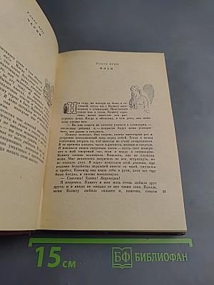 Дон Касмурро