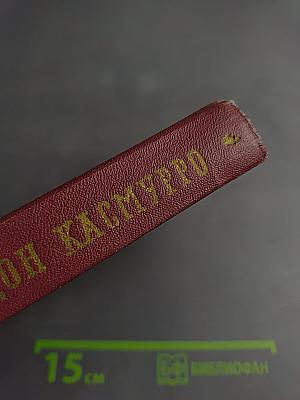 Дон Касмурро