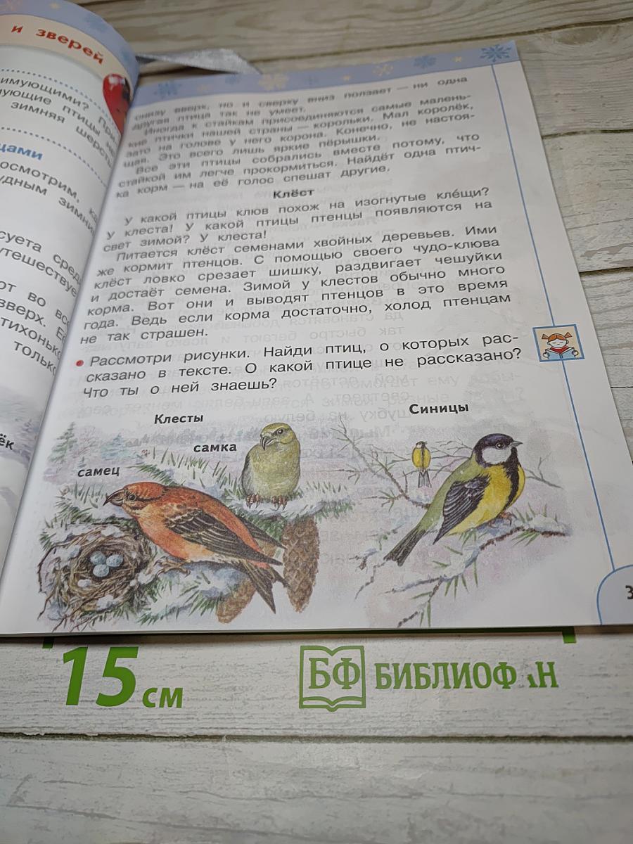 Окружающий мир 2 класс часть 2