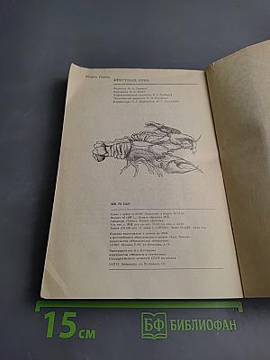 Крестный отец