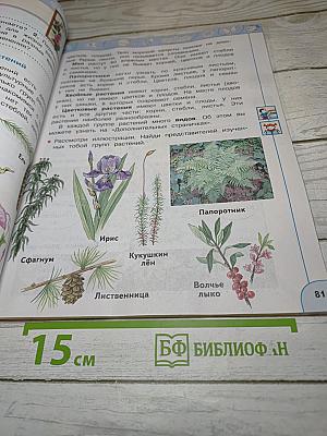 Окружающий мир 3 класс Часть 1