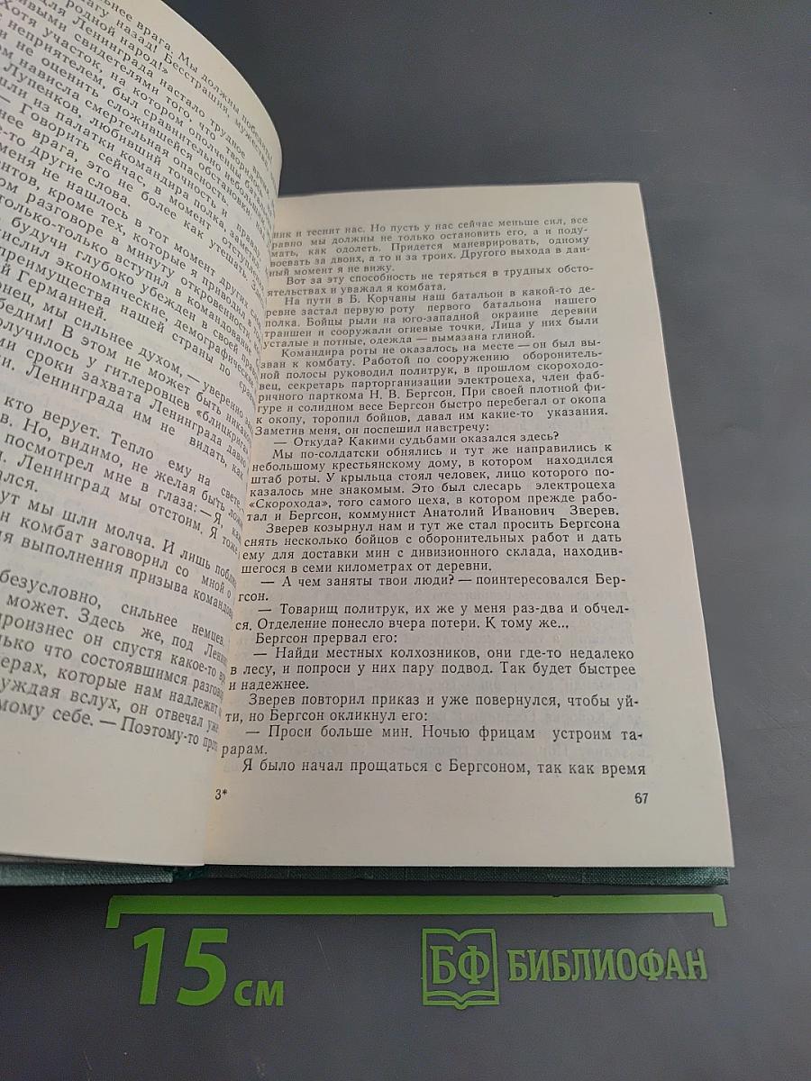 ...И штыки надели шинели