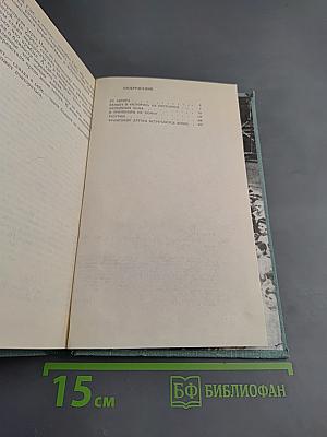 ...И штыки надели шинели