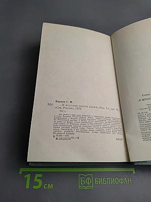 ...И штыки надели шинели