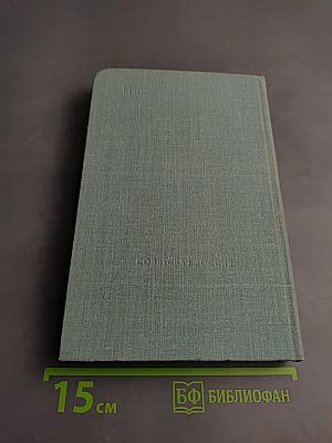 ...И штыки надели шинели