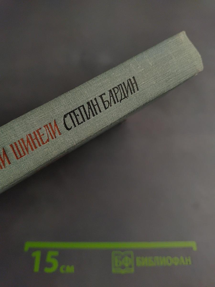 ...И штыки надели шинели