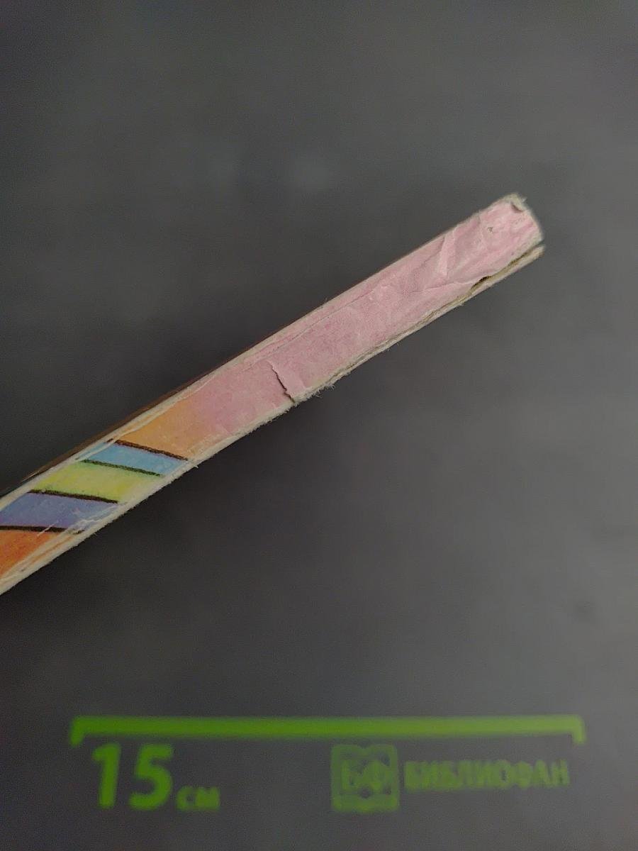 Солнечная тропа: Фрагменты из работ Матери и ее бесед с учениками