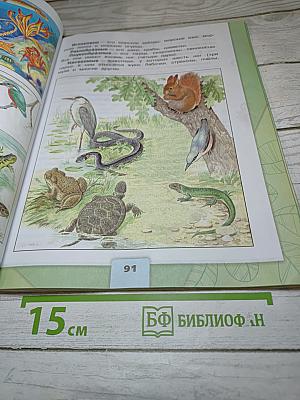Окружающий мир. 3 класс. Часть 1
