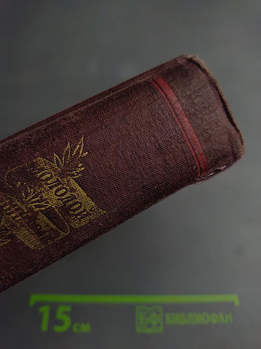 Молодой Ленинград. Сборник четвертый