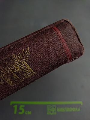 Молодой Ленинград. Сборник четвертый