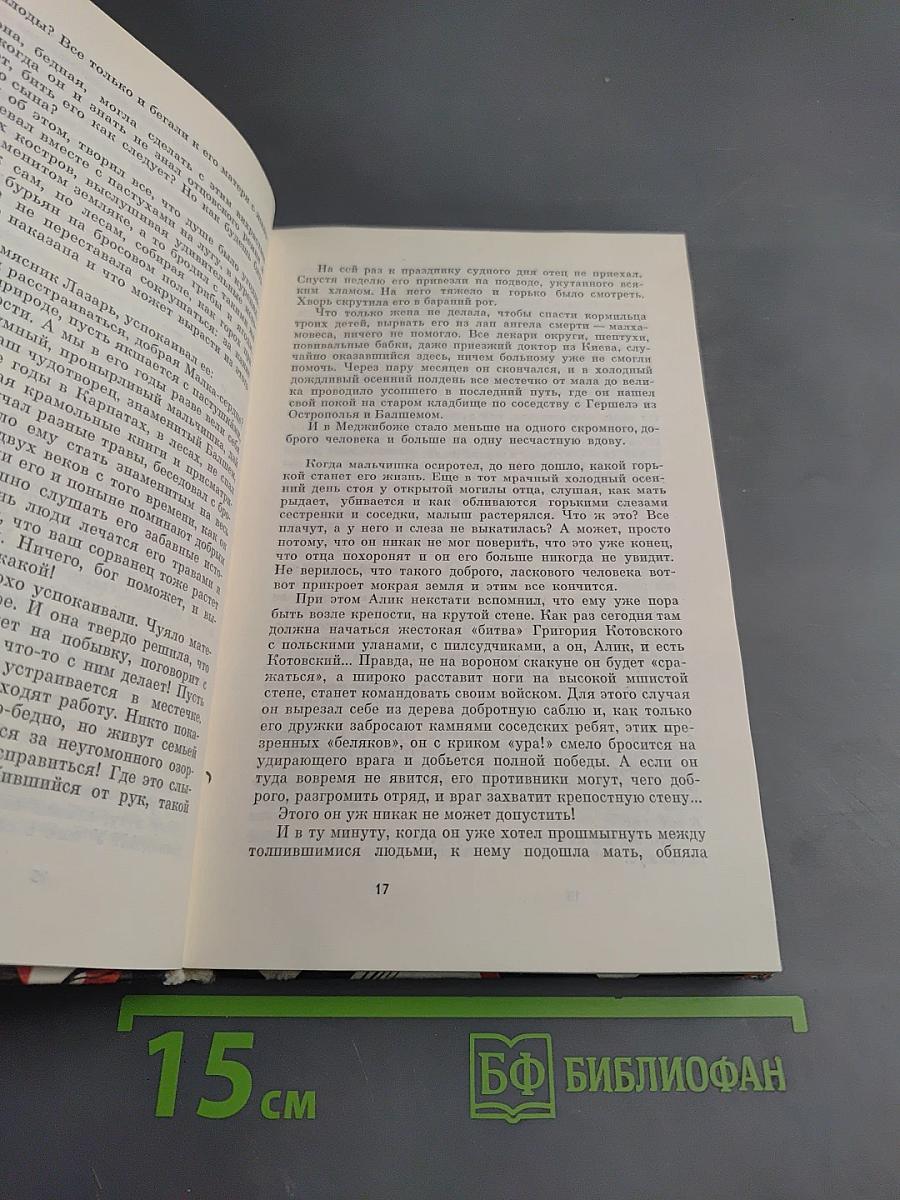 Учитель из Меджибожа