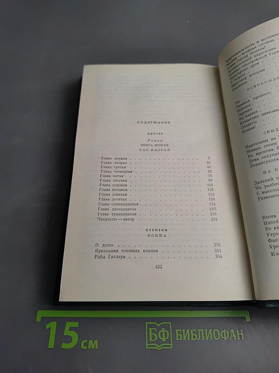 Собрание сочинений. Том 8: Костер. Ступени