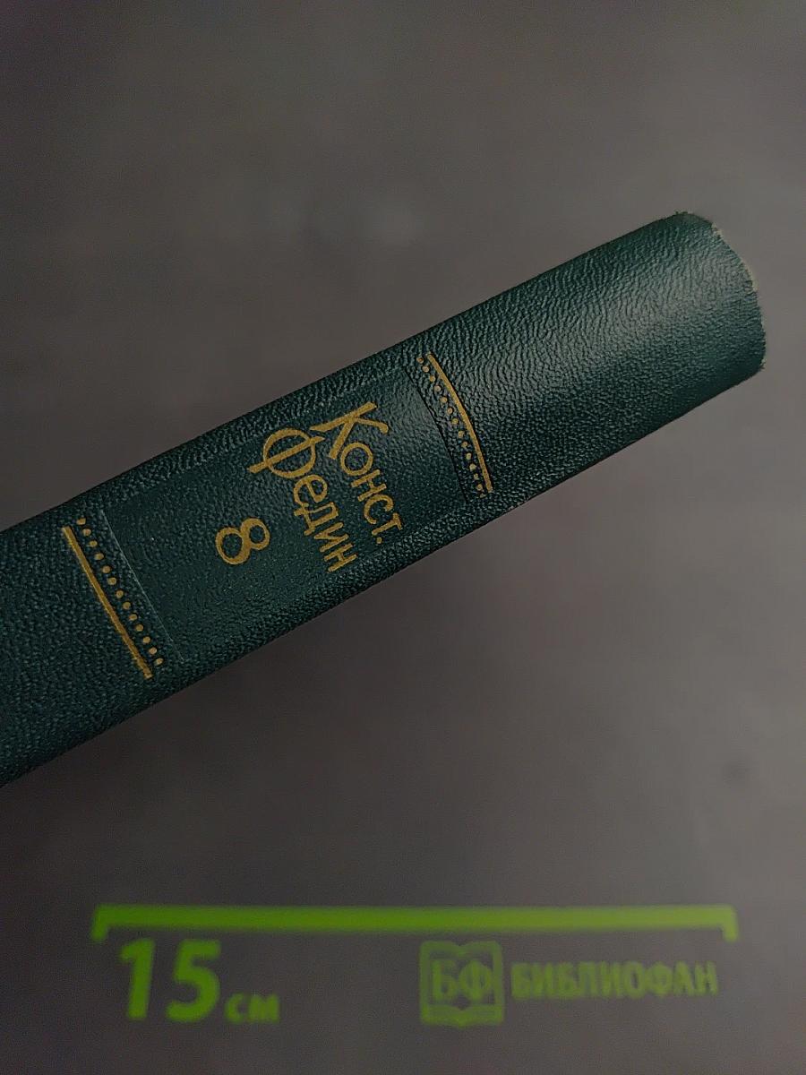 Собрание сочинений. Том 8: Костер. Ступени