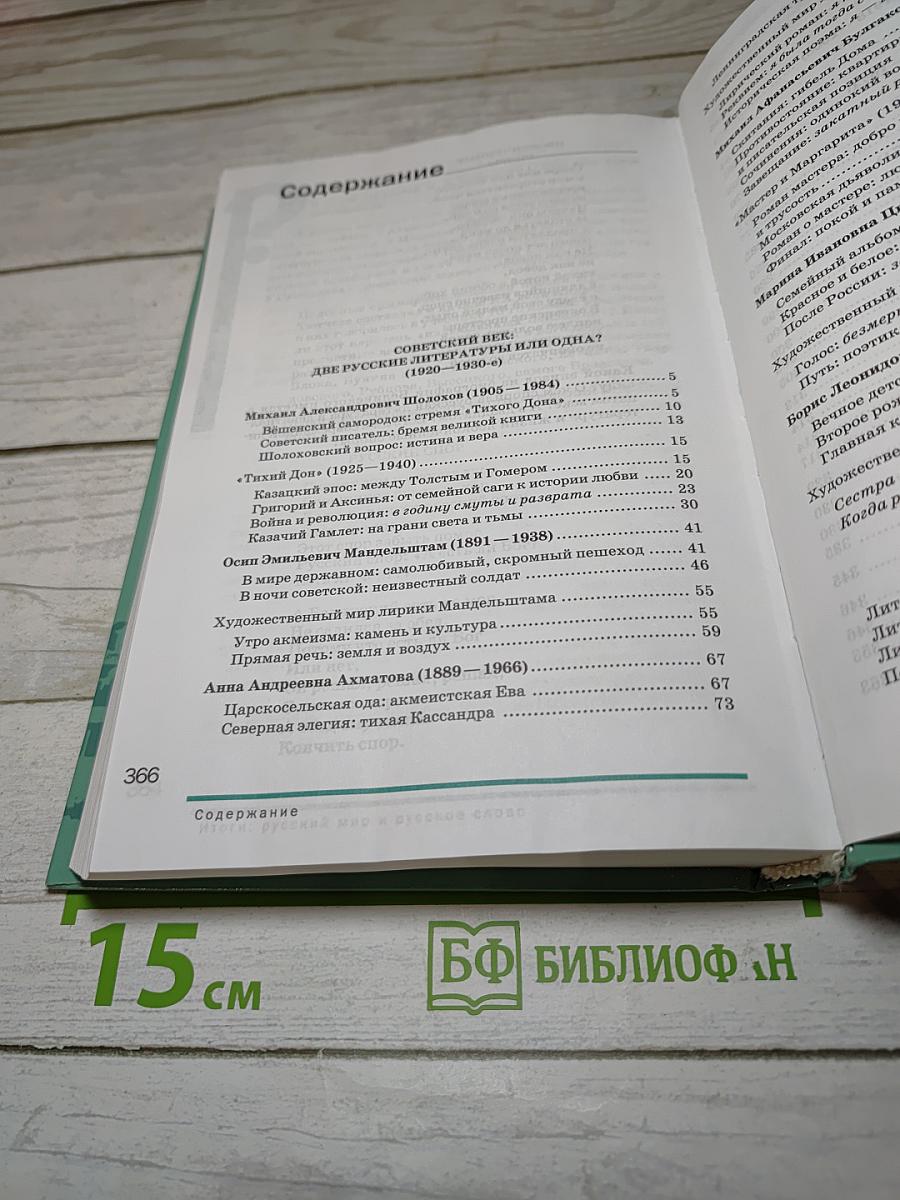Литература 11 класс Часть 2
