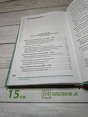 Литература 11 класс Часть 2