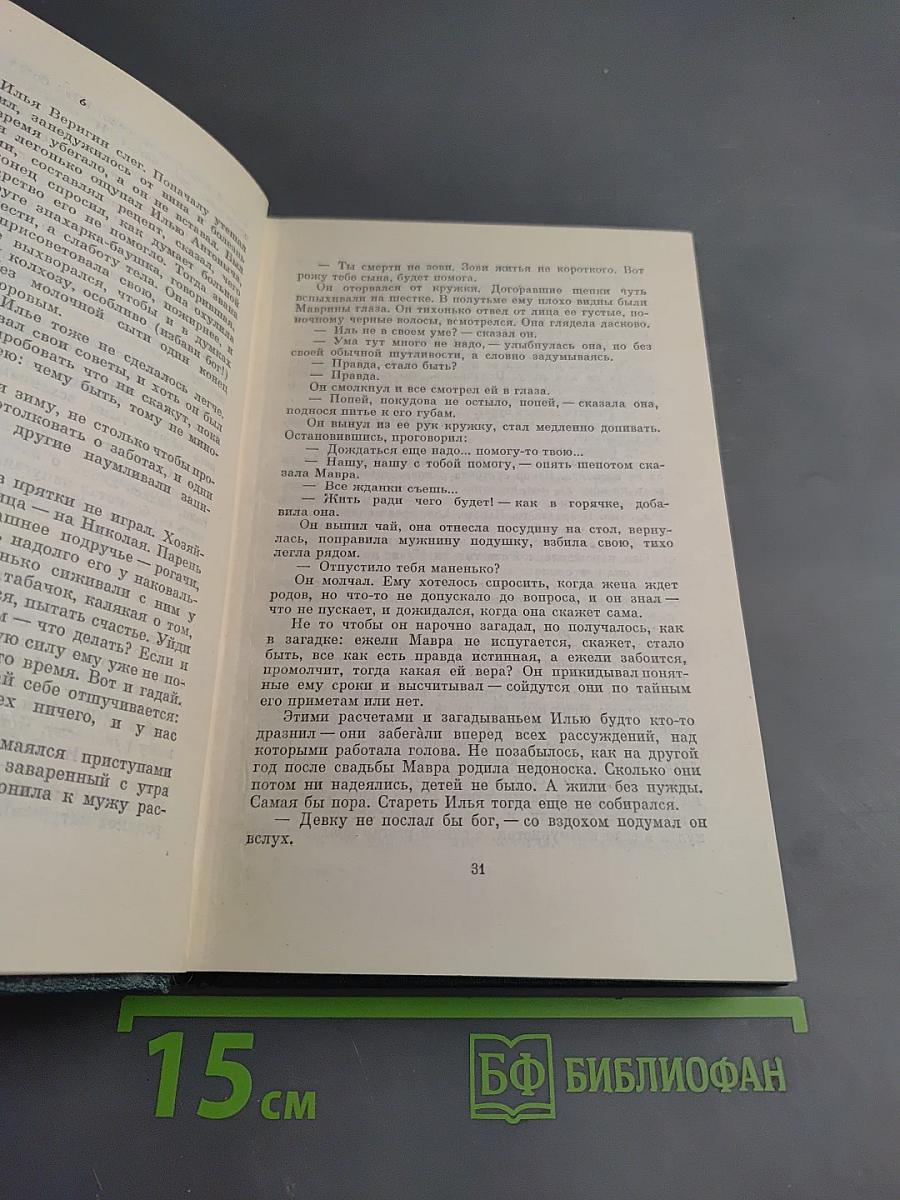 Костер. Книга первая. Вторжение