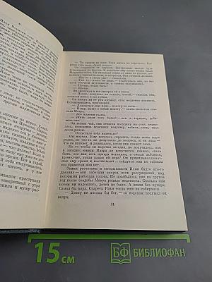 Костер. Книга первая. Вторжение