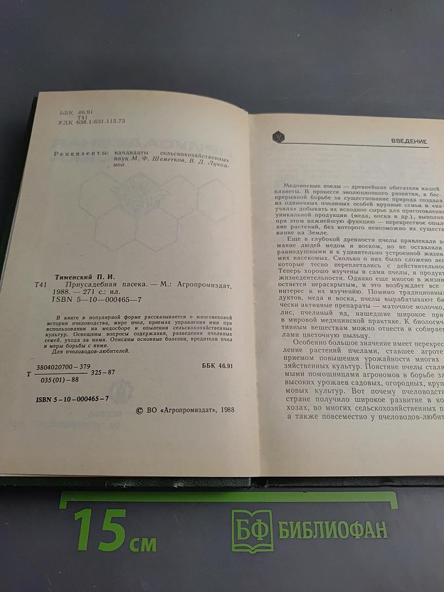 Приусадебная пасека