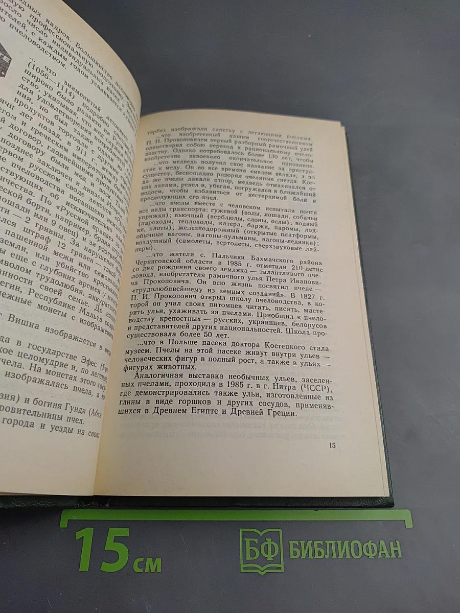 Приусадебная пасека