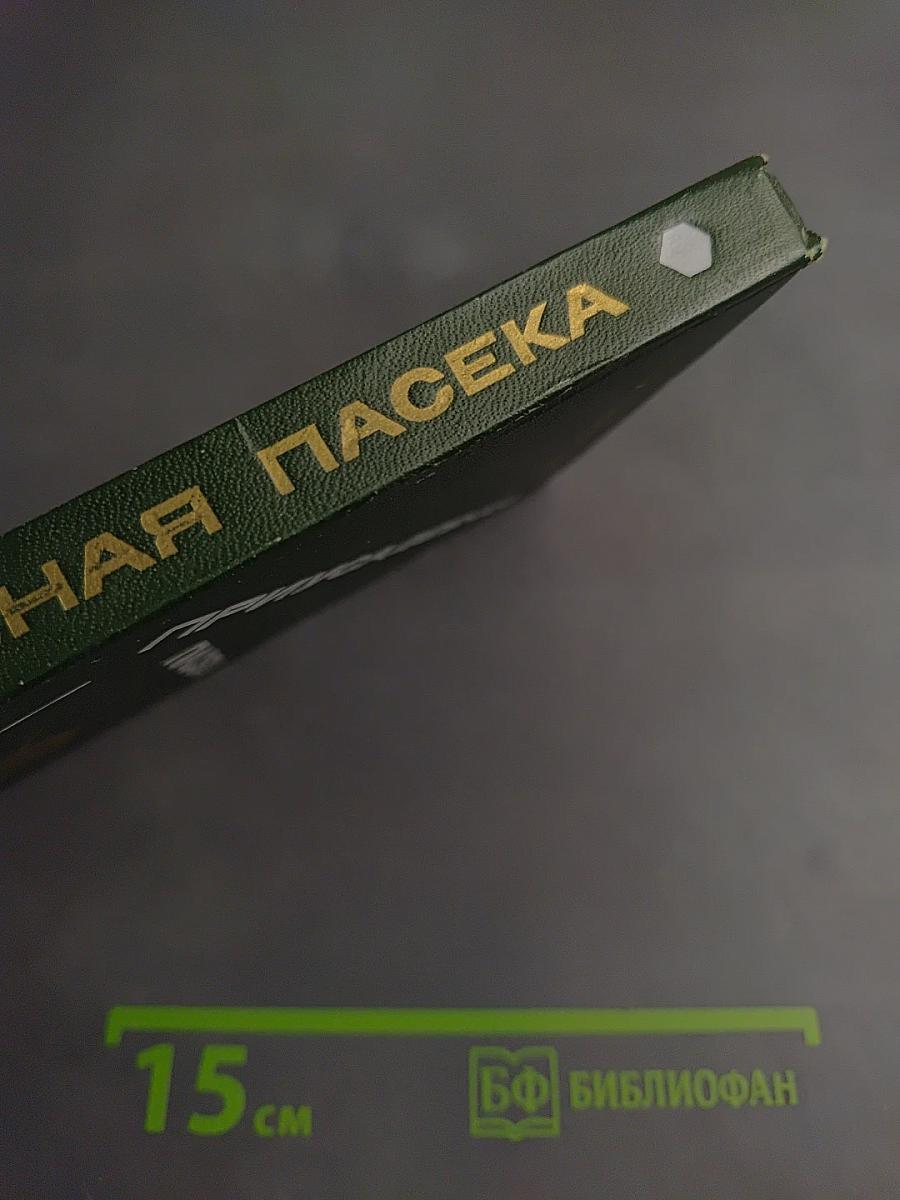 Приусадебная пасека