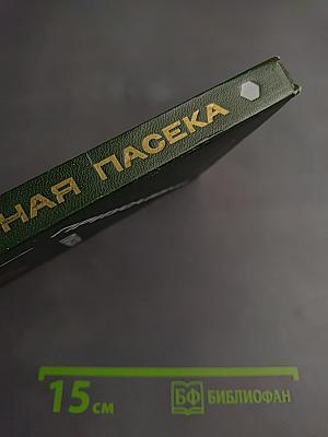 Приусадебная пасека