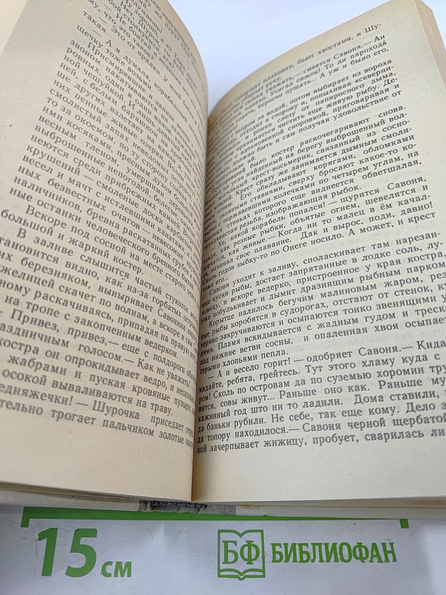 Усвятские шлемоносцы