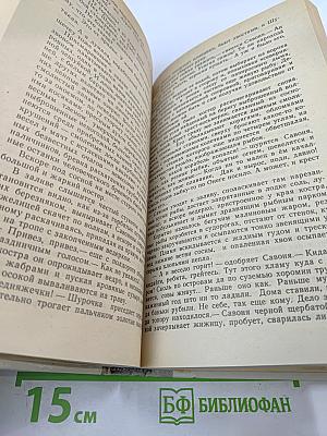 Усвятские шлемоносцы