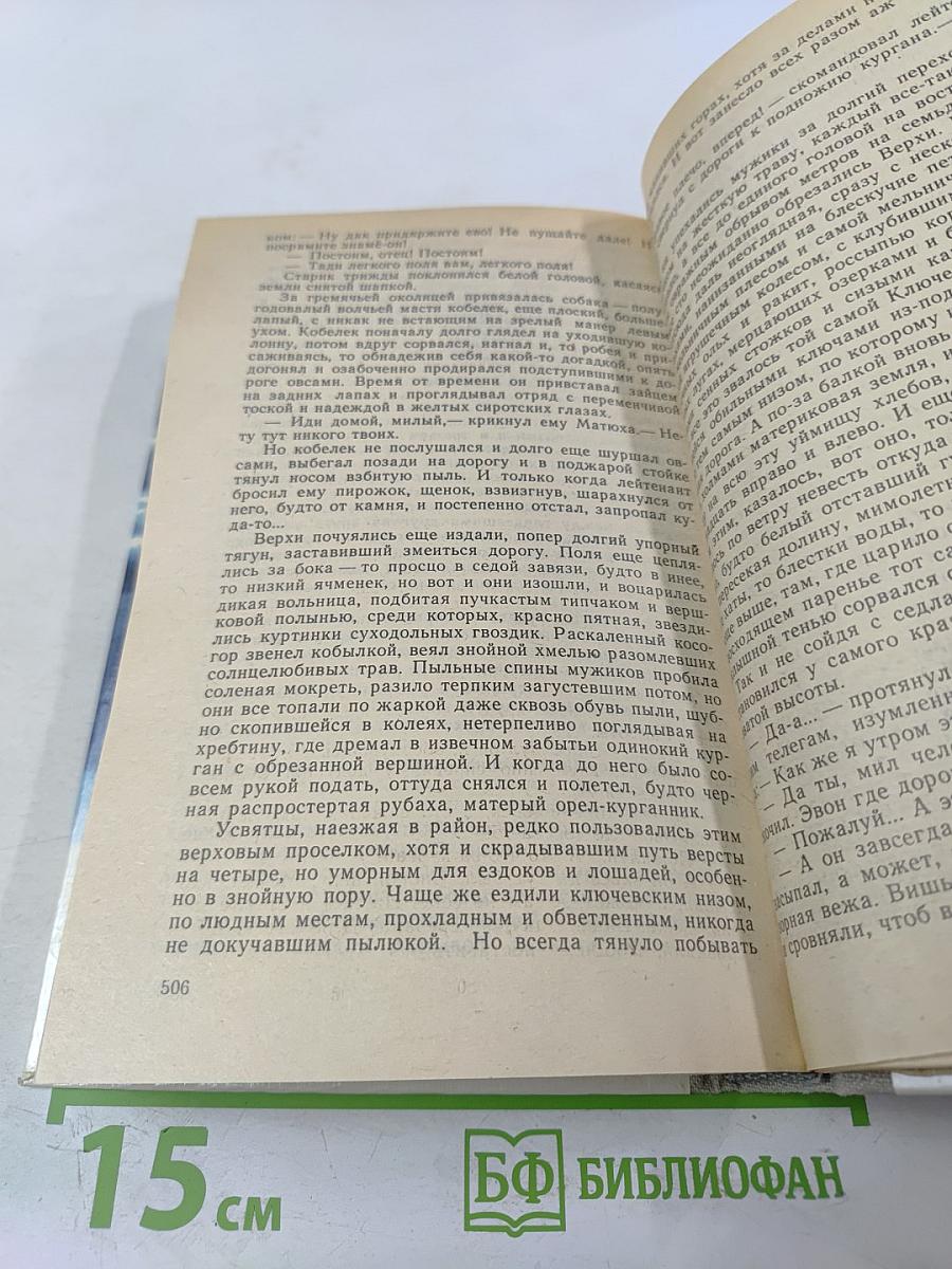 Усвятские шлемоносцы