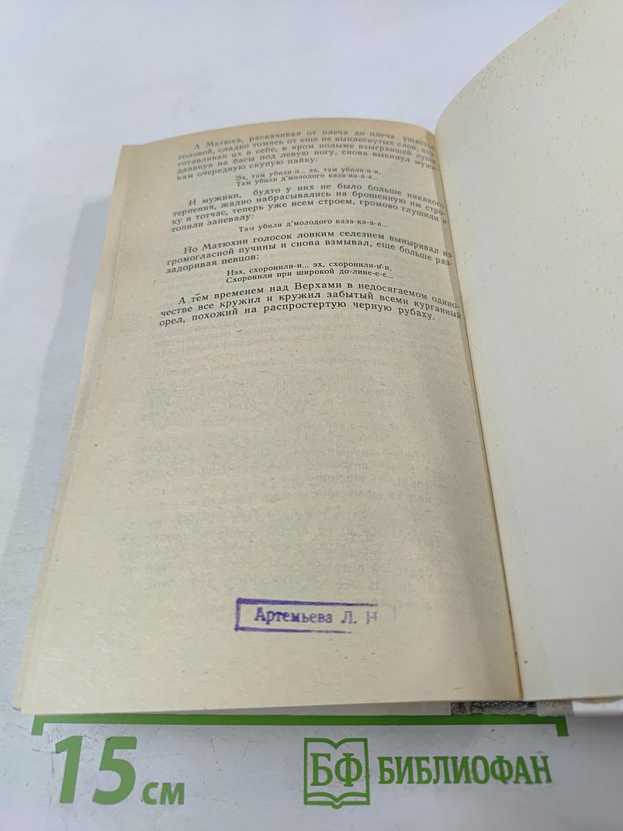 Усвятские шлемоносцы