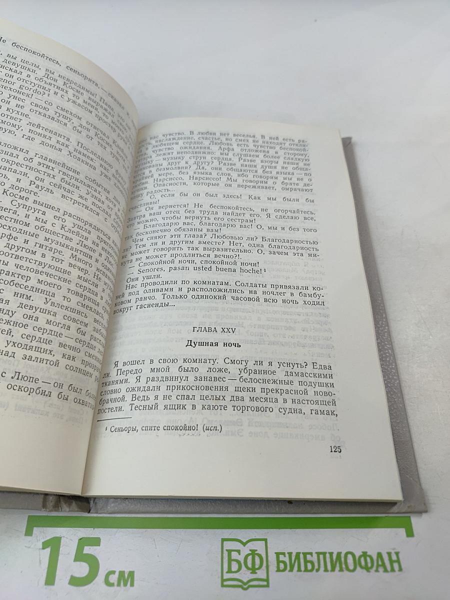 Вольные стрелки. Вождь гверильясов