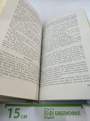 Вольные стрелки. Вождь гверильясов