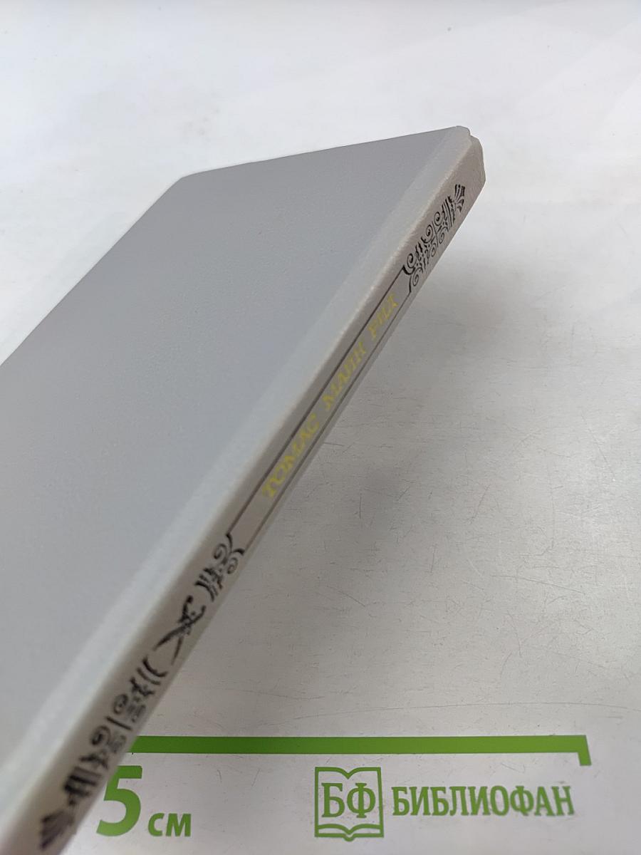 Вольные стрелки. Вождь гверильясов