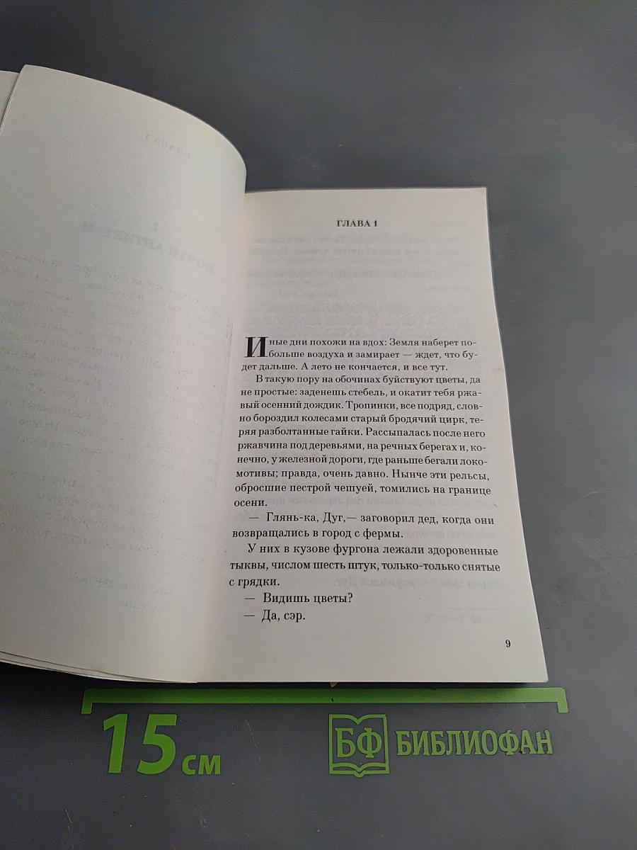 Лето, прощай