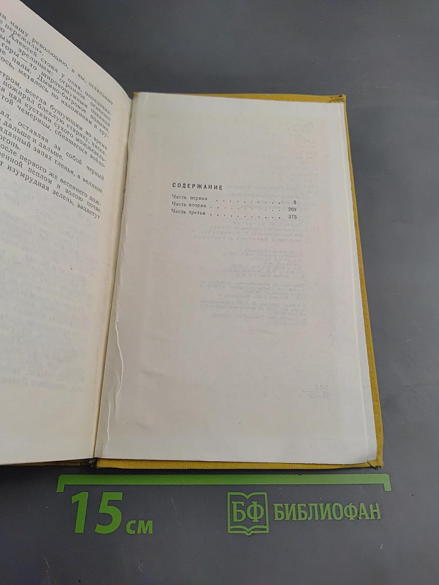 Жизнь Алексея Рокотова