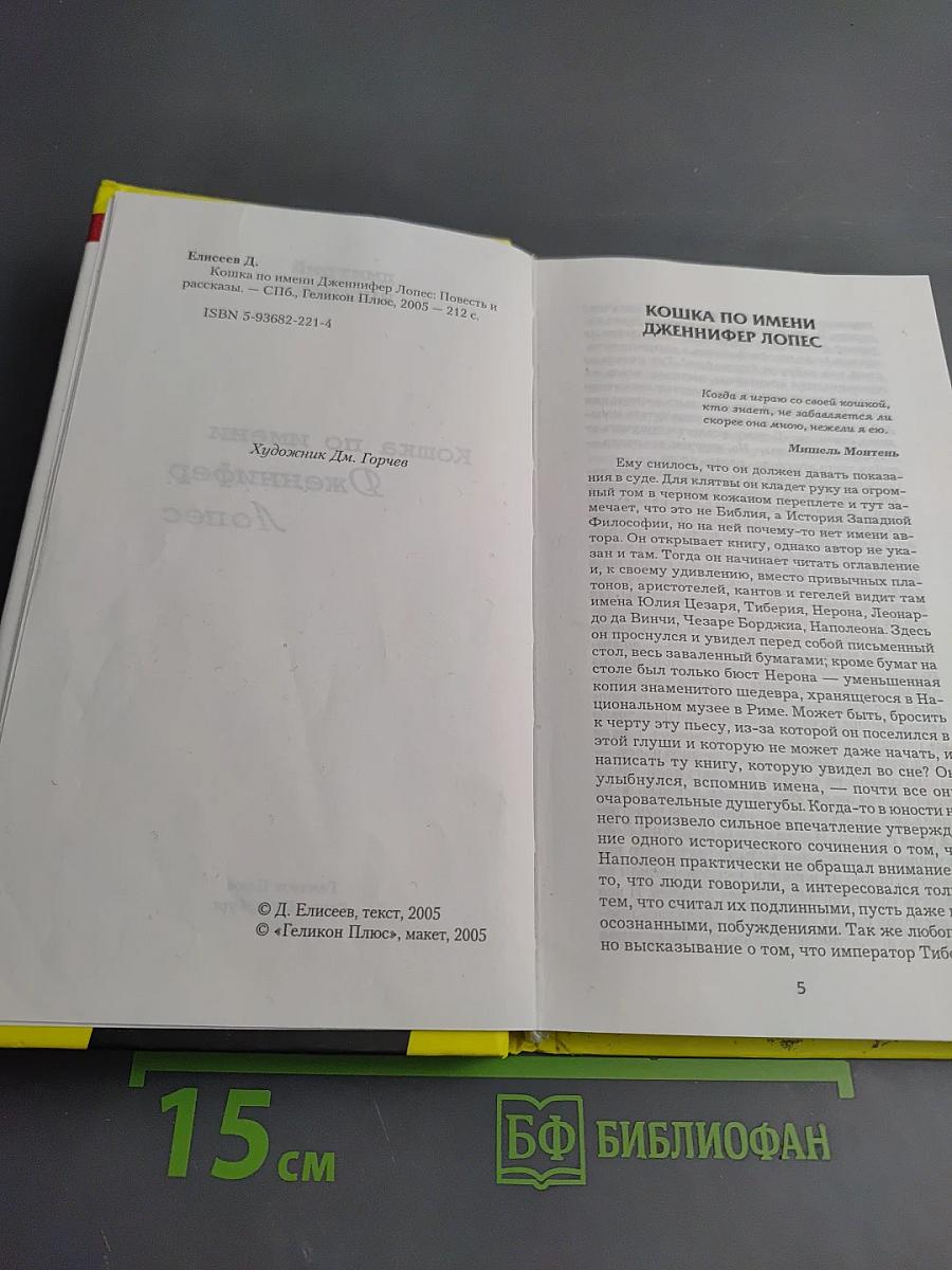 Кошка по имени Дженнифер Лопес