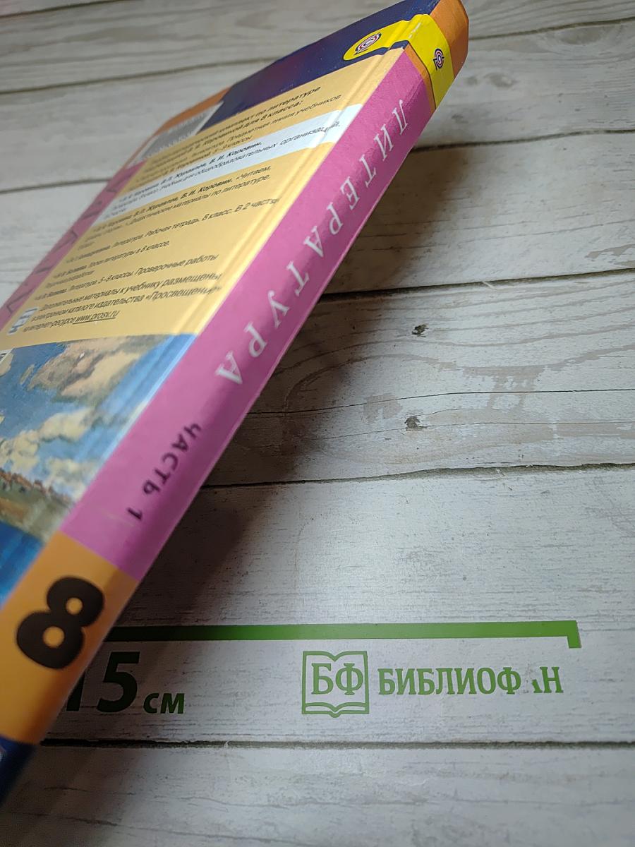 Литература. 8 класс. Учебник. Часть 1