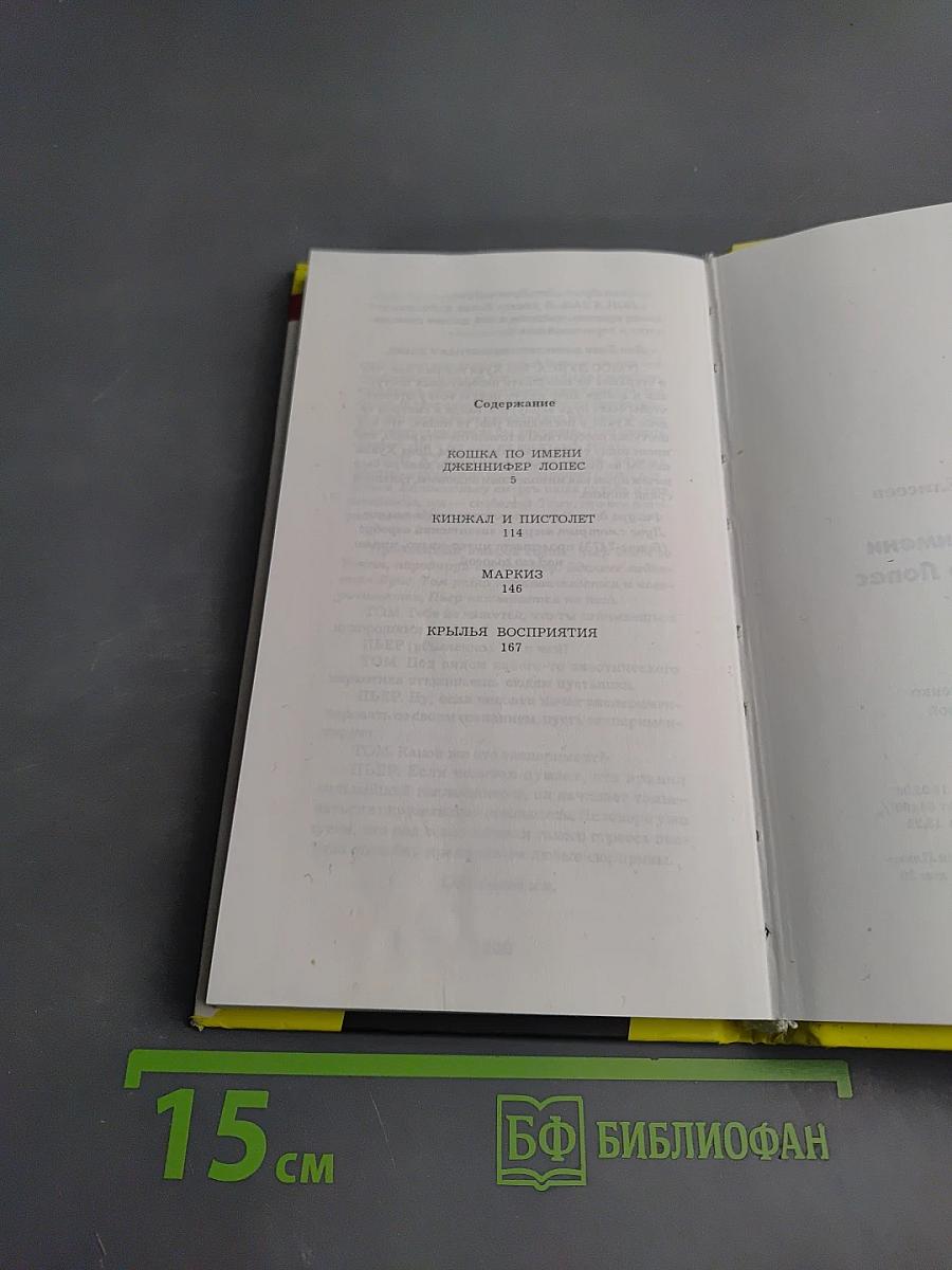 Кошка по имени Дженнифер Лопес